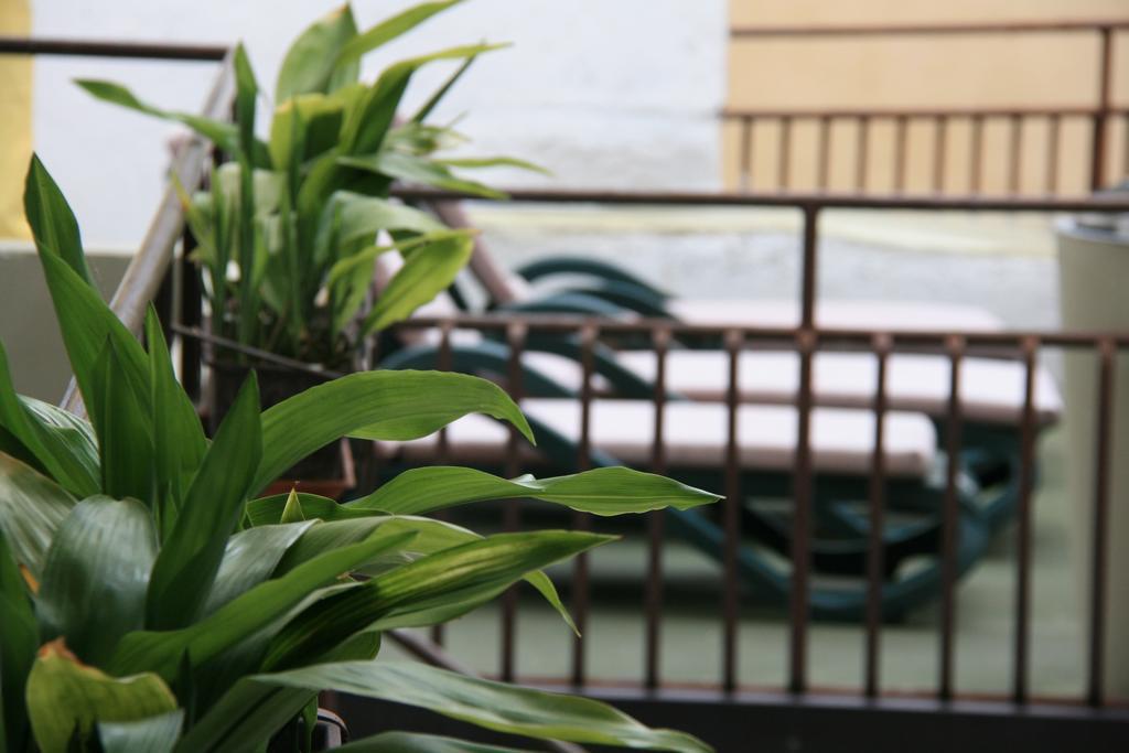 מאלצ'סינה Hotel Modena Old Town מראה חיצוני תמונה